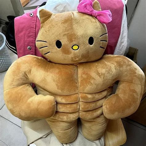 buff sanrio plush|cute sanrio plushies.